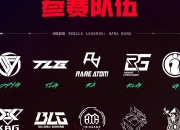 爱游戏体育app下载-关于实力之比！顶尖球队搏命对抗，决一胜负的信息